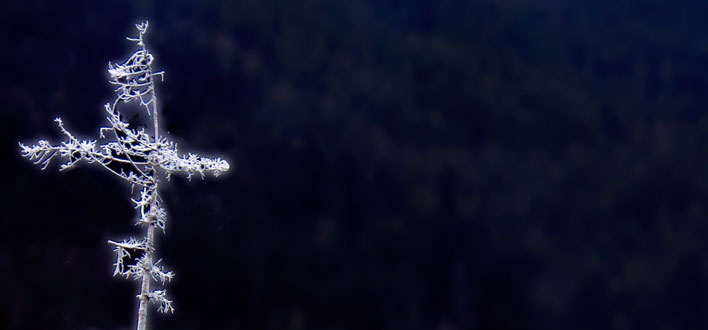 Frosty Cross